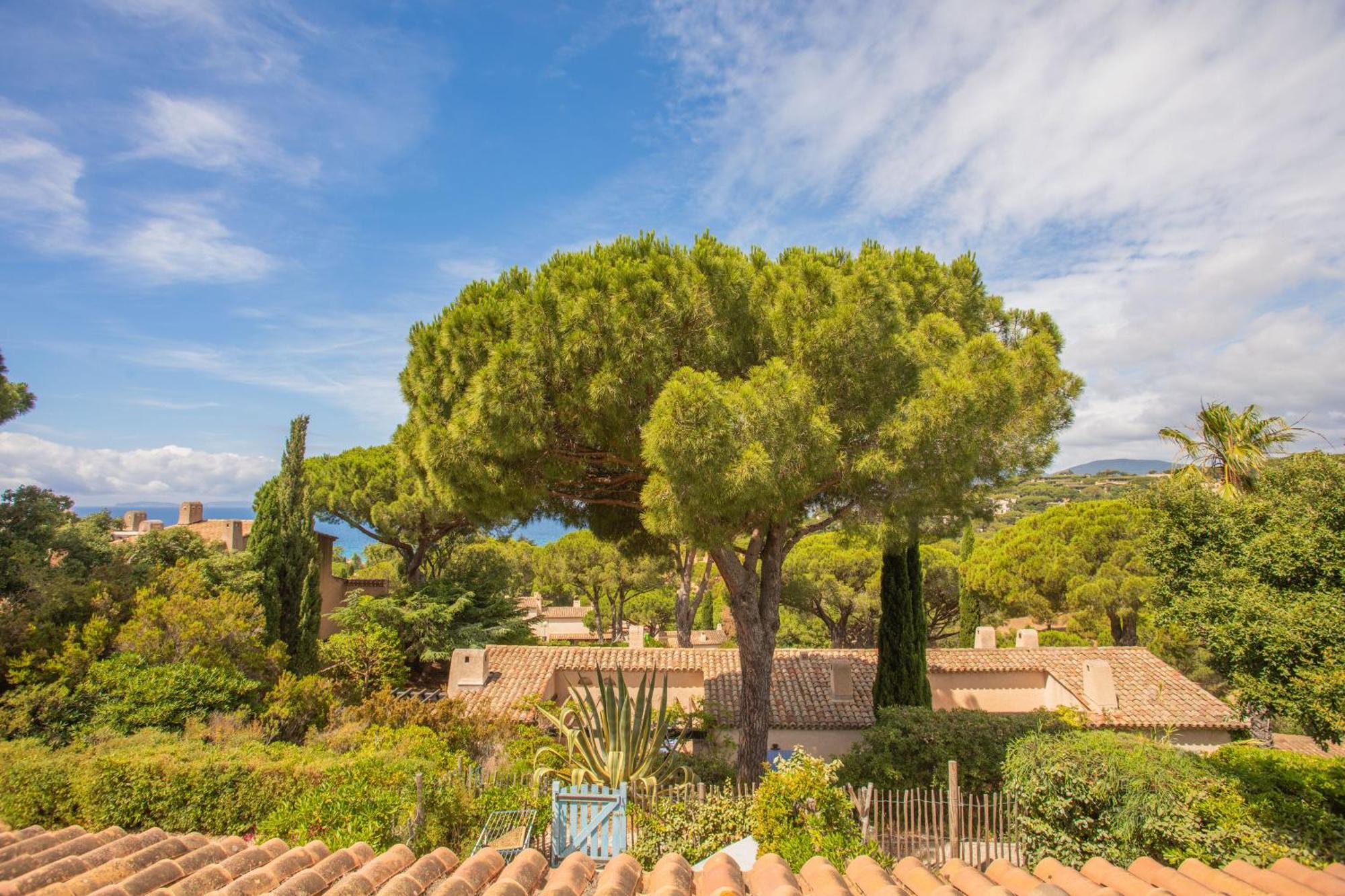 Un Petit Paradis A Gigaro