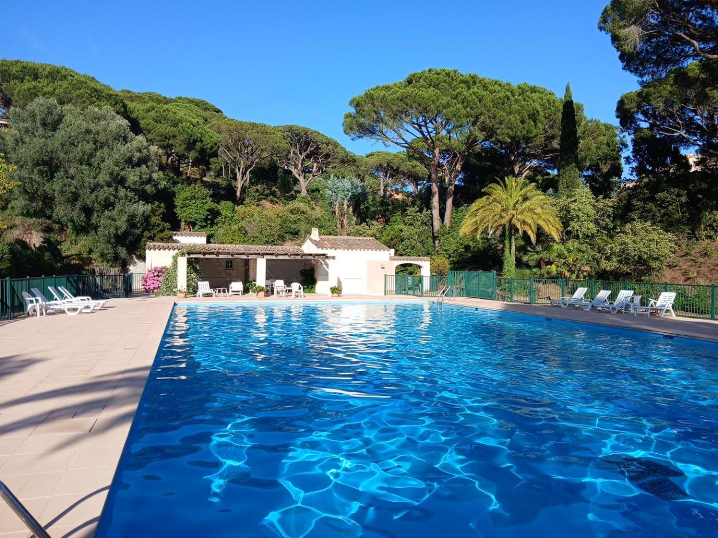 Un Petit Paradis A Gigaro Apartment *