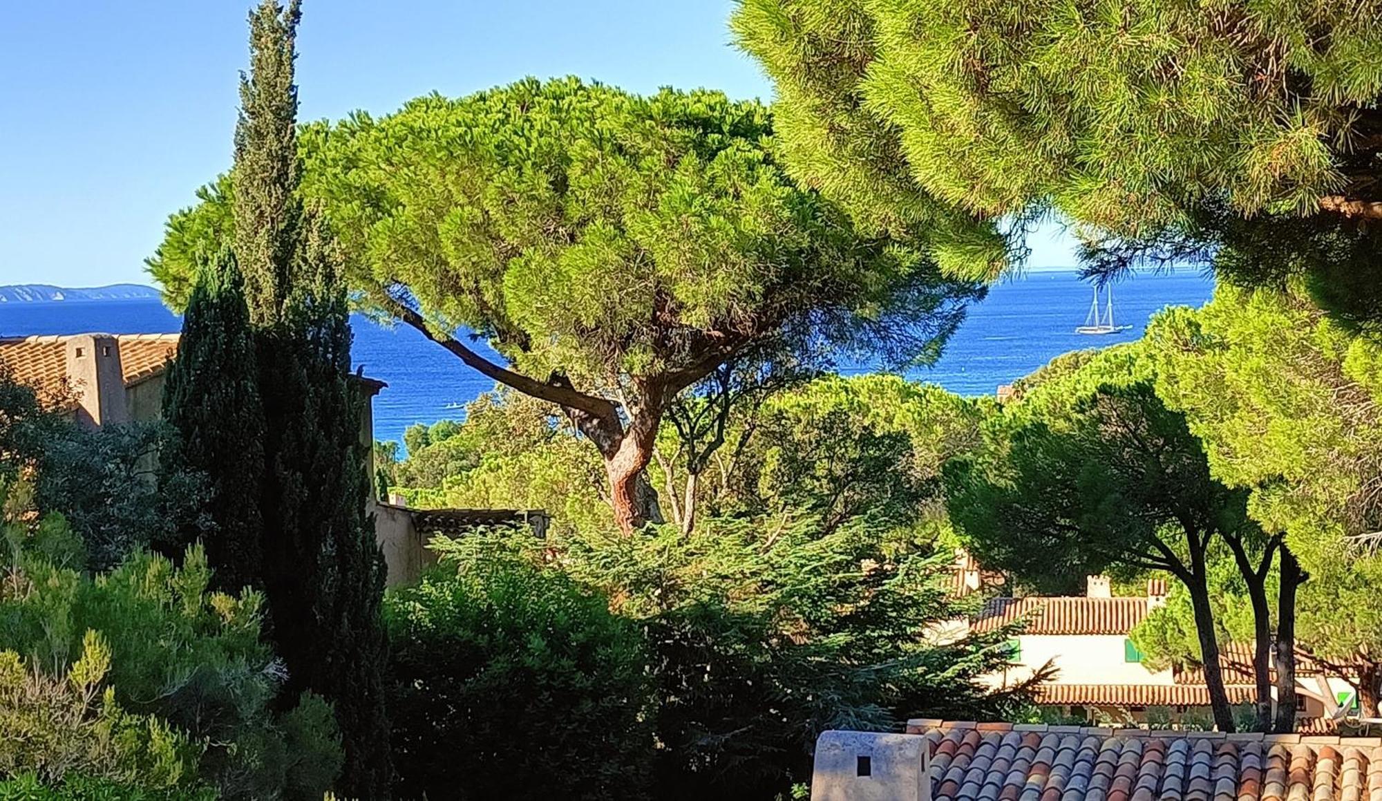 Un Petit Paradis A Gigaro La Croix-Valmer